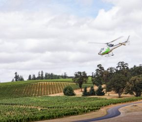 A helicopter takes off from a winery evoking wealth and tourism